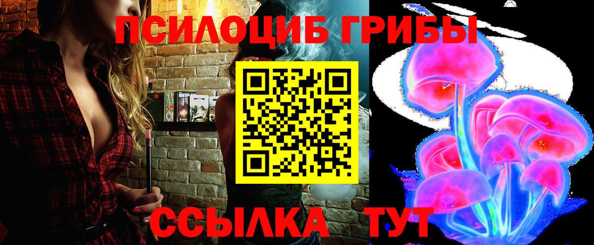 Кострома  Галлюциногенные грибы Psilocybine cubensis  Вход с VPN 