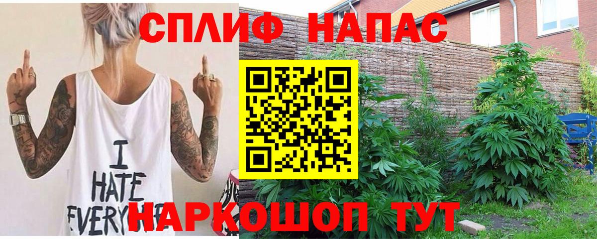 Кострома  Канабис ГИДРОПОН  Шишки марихуана план  Конопля White Widow  Вход с VPN 